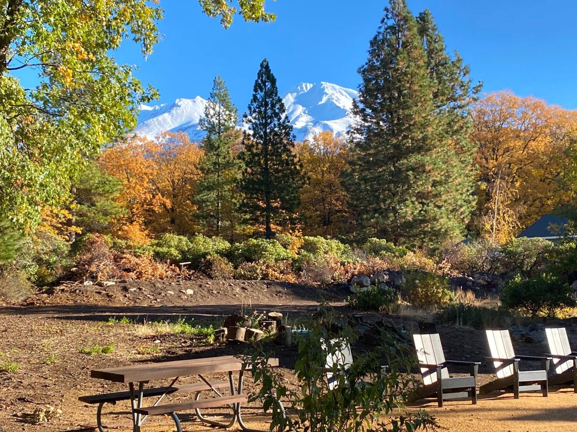 Basecamp Lodge 夏斯塔山 外观 照片